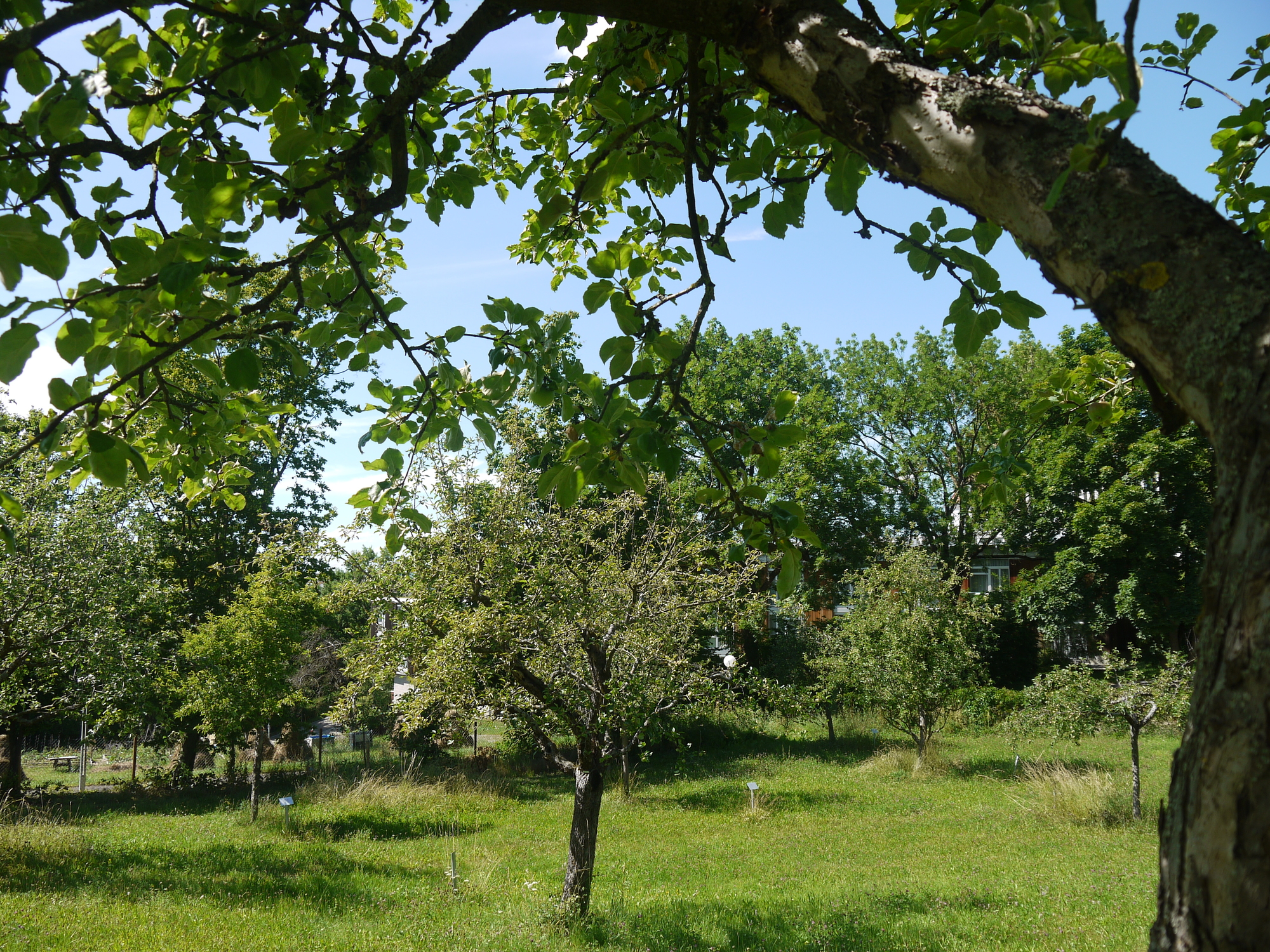 Foto: Schillerstadt Marbach