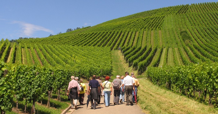 Marbach Umgebung Schillerstadt Marbach De