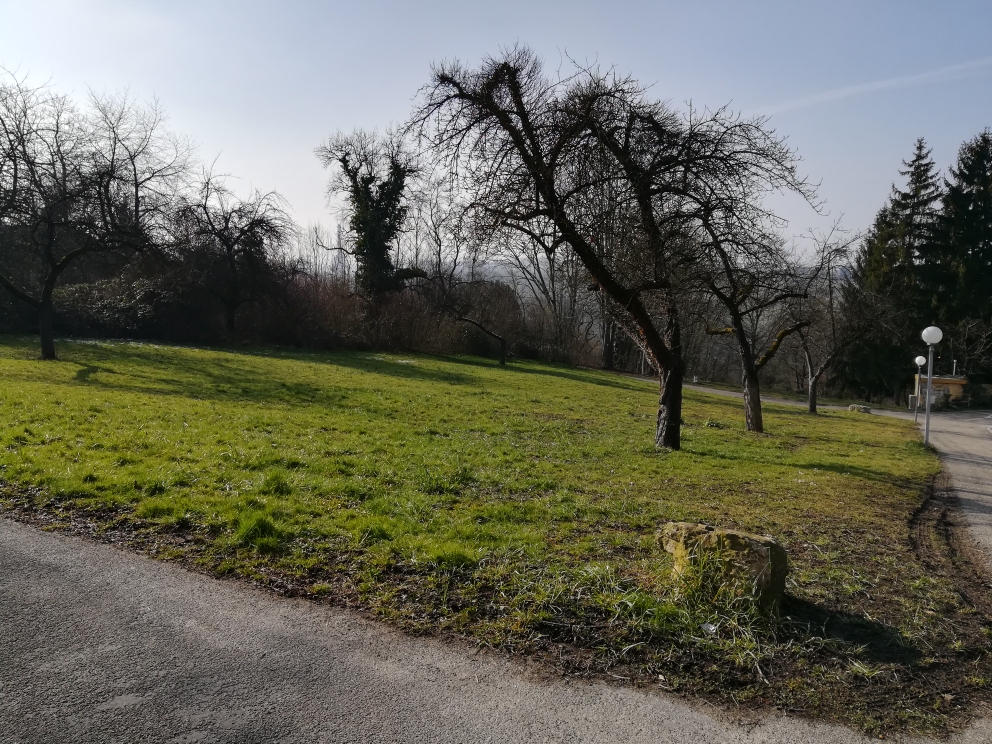 Aufbau des Gartens; Foto: Marco Kraft