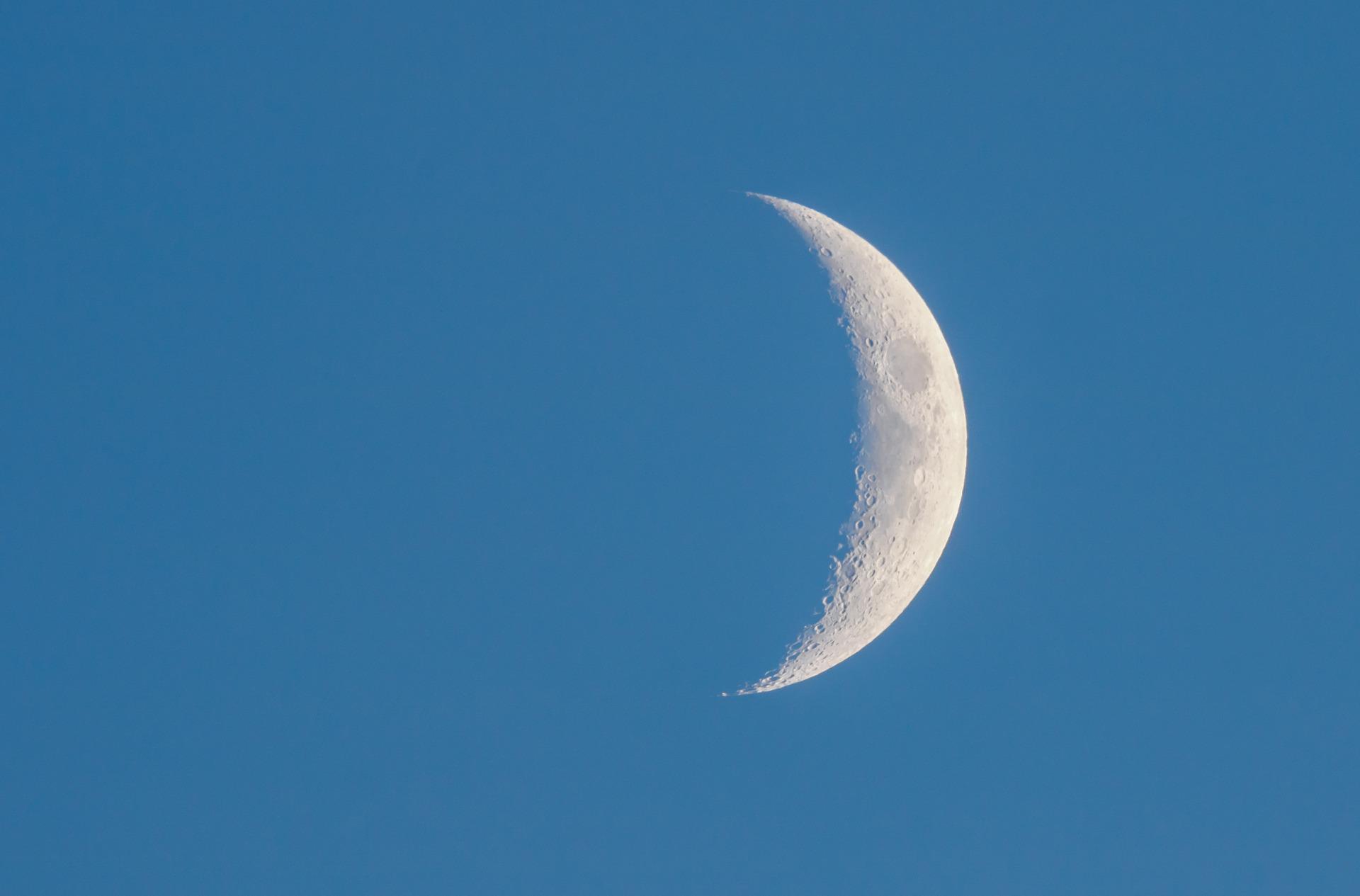 Foto von Myriams-Fotos auf Pixabay