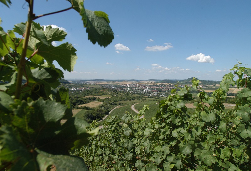 Württemberger Weinstraße; Foto: Werner Kuhnle