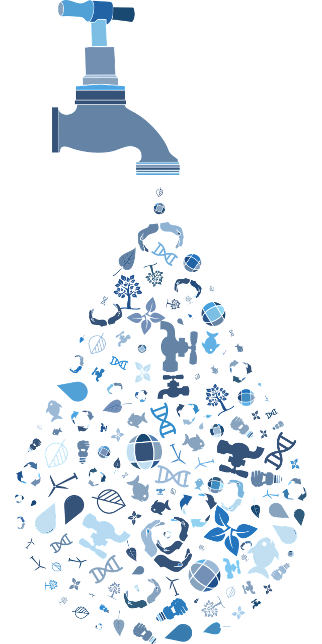 Image by Gordon Johnson from Pixabay